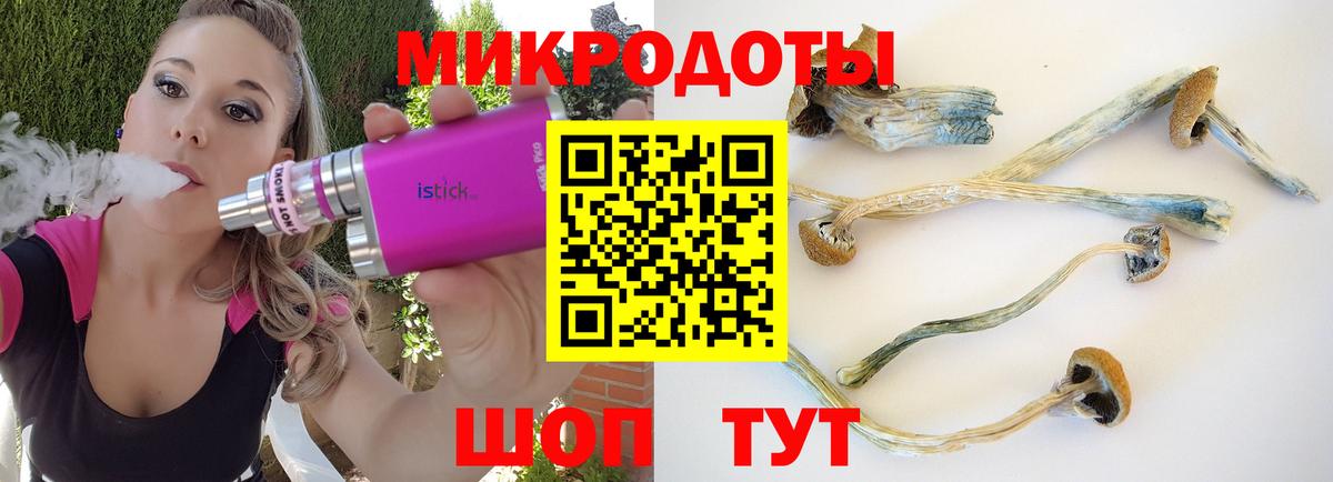 Псилоцибиновые грибы Cubensis  Вход с VPN  Галлюциногенные грибы GOLDEN TEACHER  Псков 